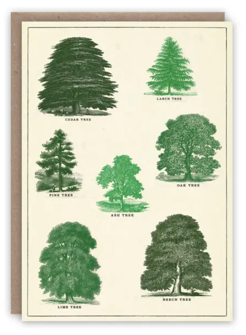 Trees greetings card
