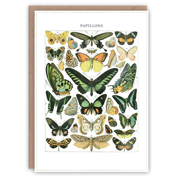 Butterflies greetings card
