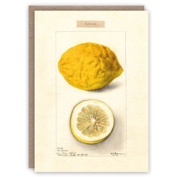 Lemon greetings card